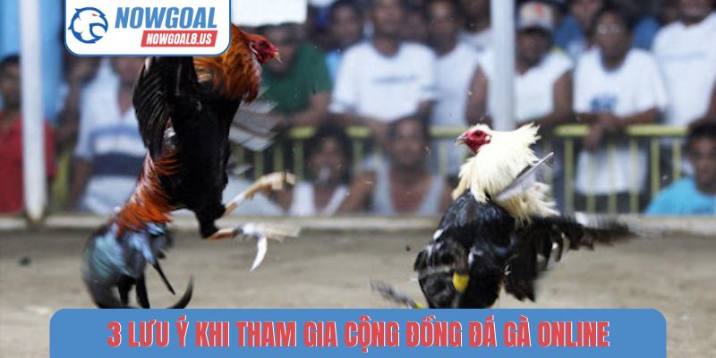Link Xem Đá Gà Thomo Không Chặn - Theo Dõi Nowgoal Mượt Mà 3 lưu ý khi tham gia cộng đồng đá gà online